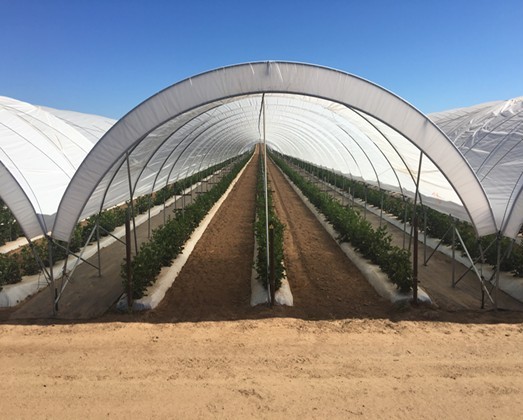 Hoop-house / Poly-Tunnel