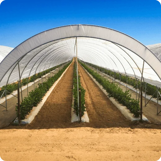 Greenhouse Aerial View